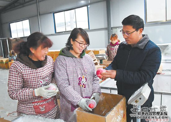 果园飘香富农家——聚焦静宁、华亭、泾川果产业发展